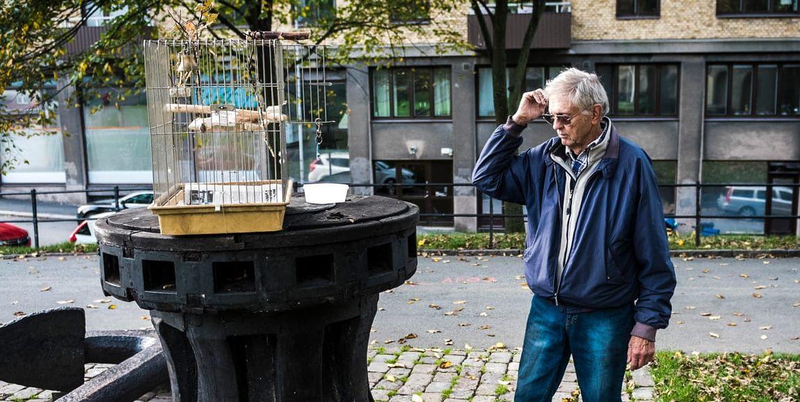 Kåre vakade utanför Sjöfartsmuseet i två dygn i hopp om att hans kamrat skulle dyka upp. På onsdagseftermiddagen hörde han ett välbekant läte uppe bland träden.