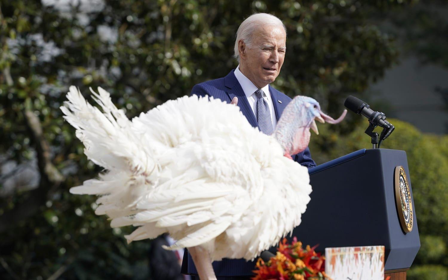 USA:s president Joe Biden är hoppfull att ett gisslanavtal snart kan stå klart. Beskedet gav han i samband med att han benådade en kalkon, vilket är tradition under den amerikanska högtiden Thanksgiving.