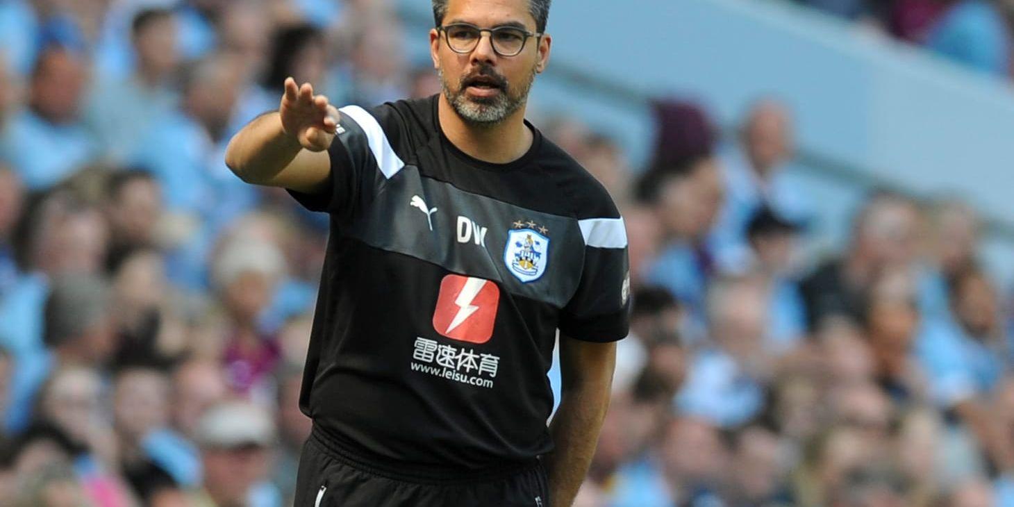 David Wagner, ny manager i Schalke. Arkivbild.