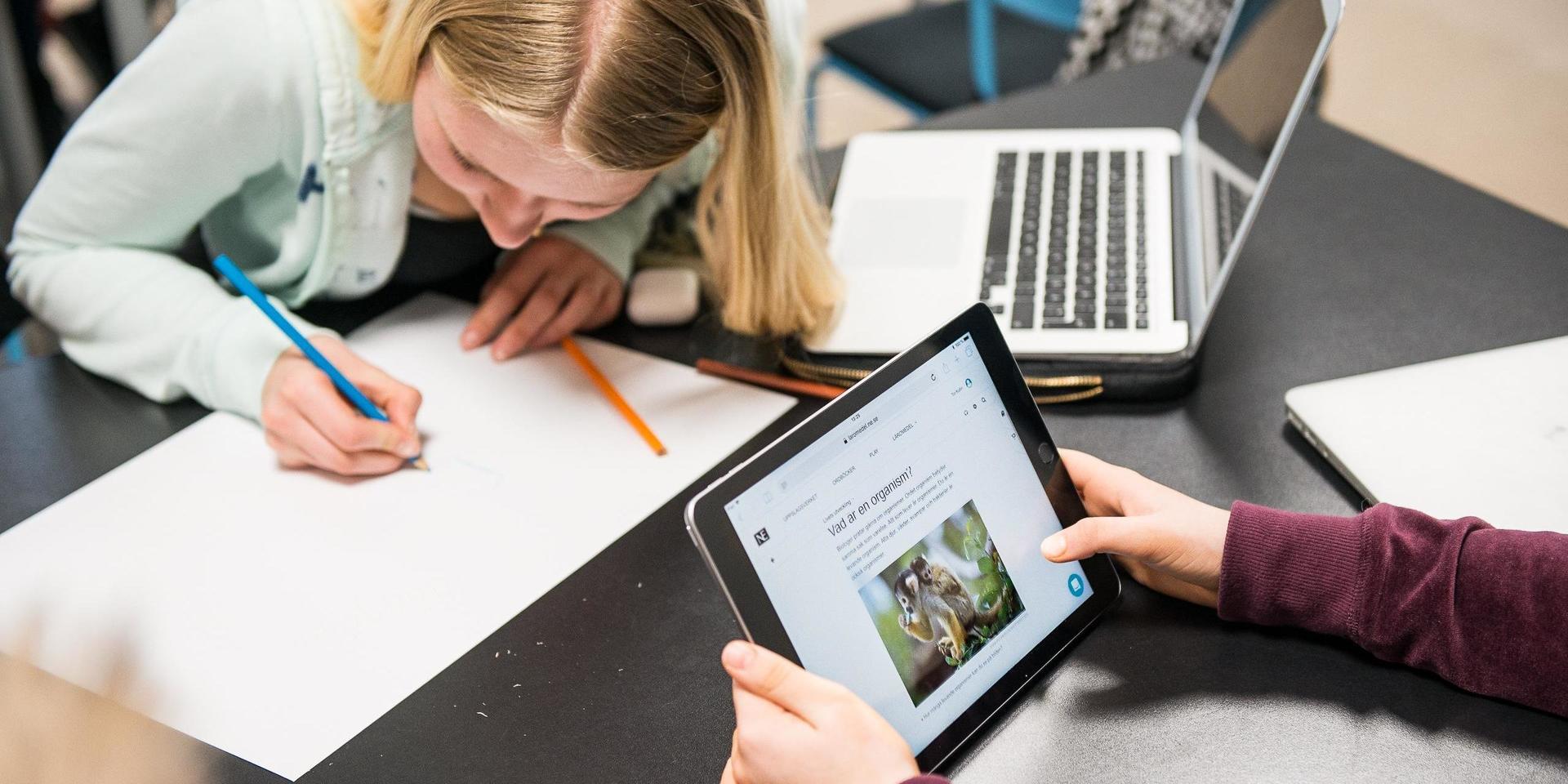 Skolelever studerar med hjälp av dator och surfplatta.