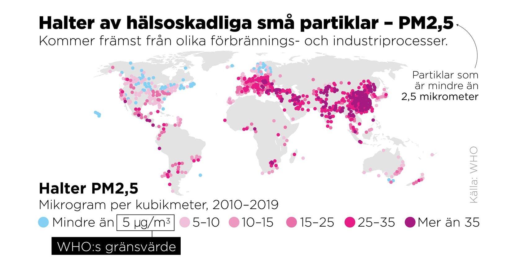 Halter av partikeln PM2,5 mellan 2010 och 2019.